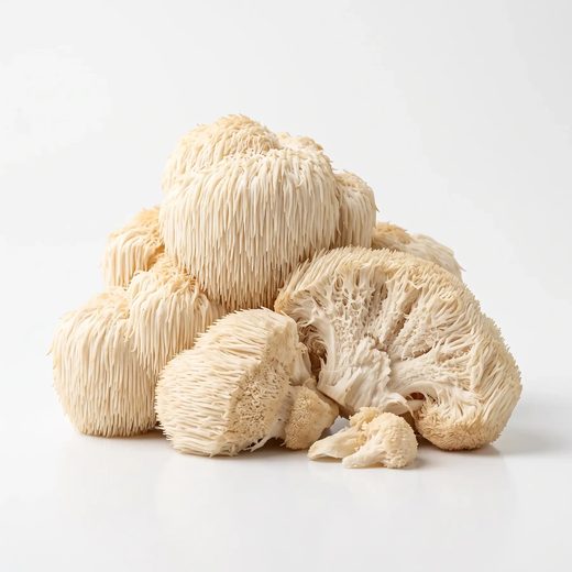 A lion's mane mushroom beside a dish of mushroom powder